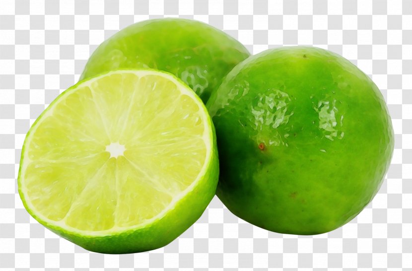 Persian Lime Key Fruit Citrus - Plant - Citric Acid Transparent PNG
