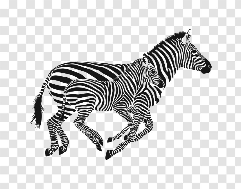 Quagga Sticker Zebra Wall Phonograph Record - Mammal Transparent PNG