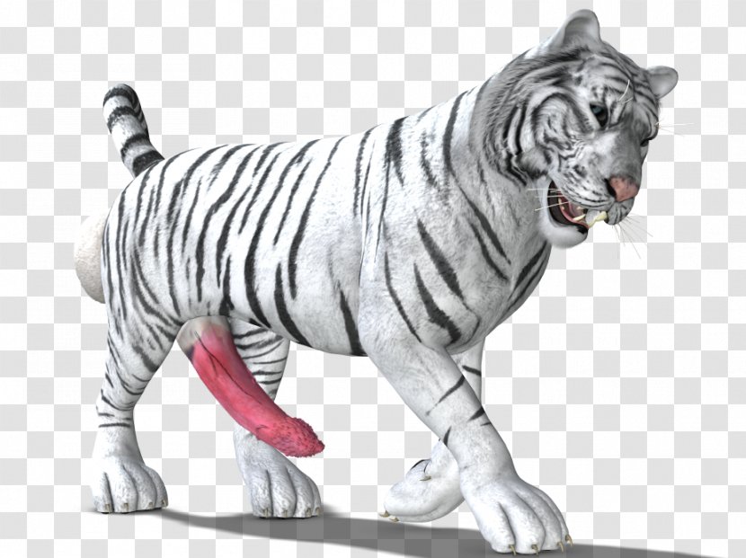 Tiger Big Cat Terrestrial Animal Wildlife - Like Mammal Transparent PNG