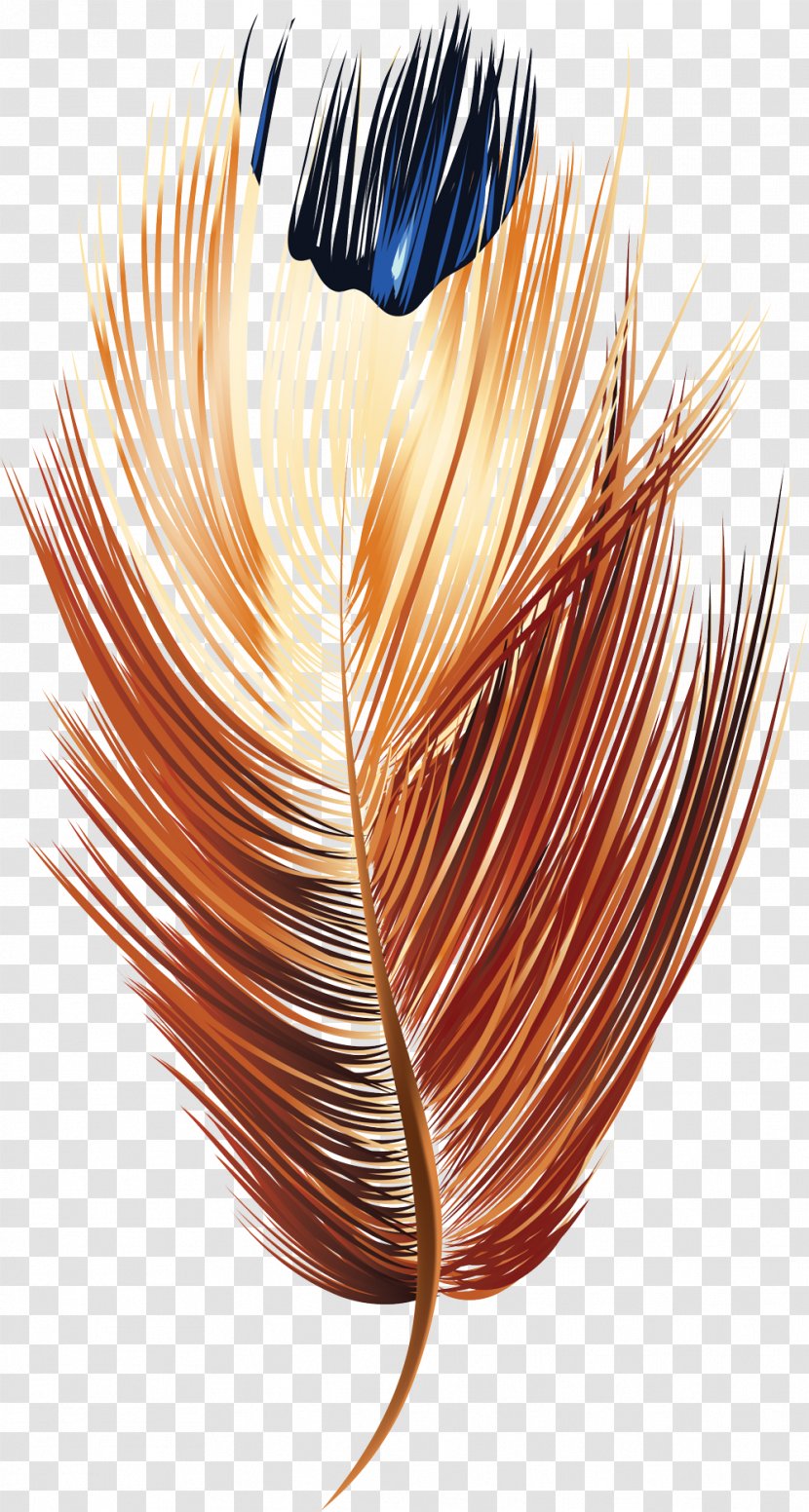 Feather Symbol - Cartoon Transparent PNG