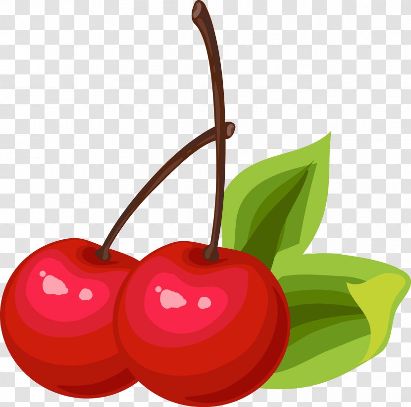 Cherry Euclidean Vector Clip Art - Cerasus - Hand-painted Transparent PNG