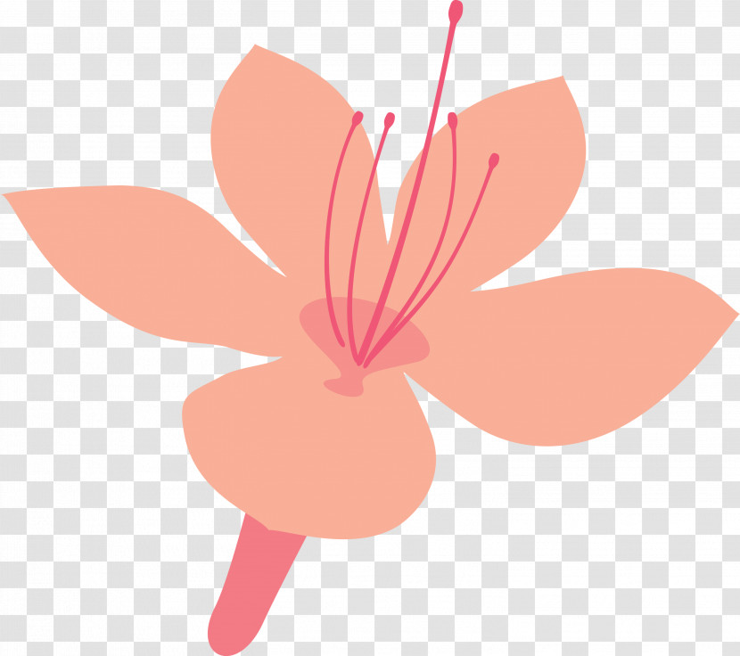 Azalea Spring Flower Azalea Flower Transparent PNG