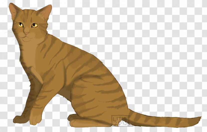 Warriors Honeyfern Erin Hunter Lionblaze Wikia - Cat - Lithe Transparent PNG