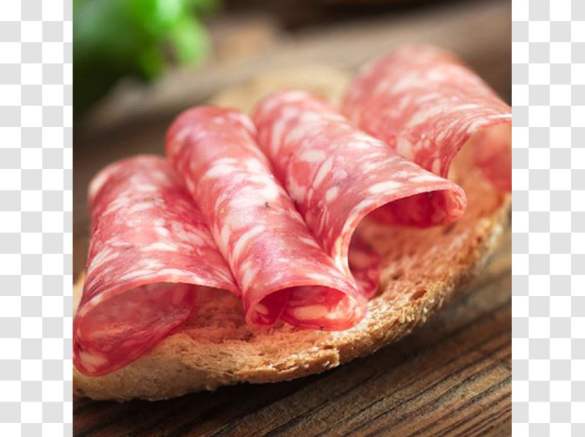 Capocollo Salami Ham Prosciutto Soppressata - Cartoon - Serrano Transparent PNG