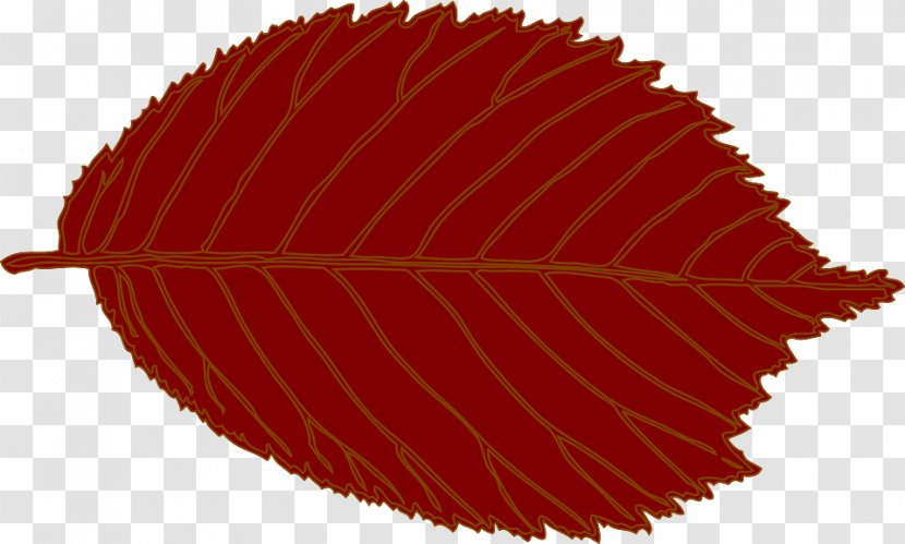 Drawing Tree - Logo - Flower Transparent PNG