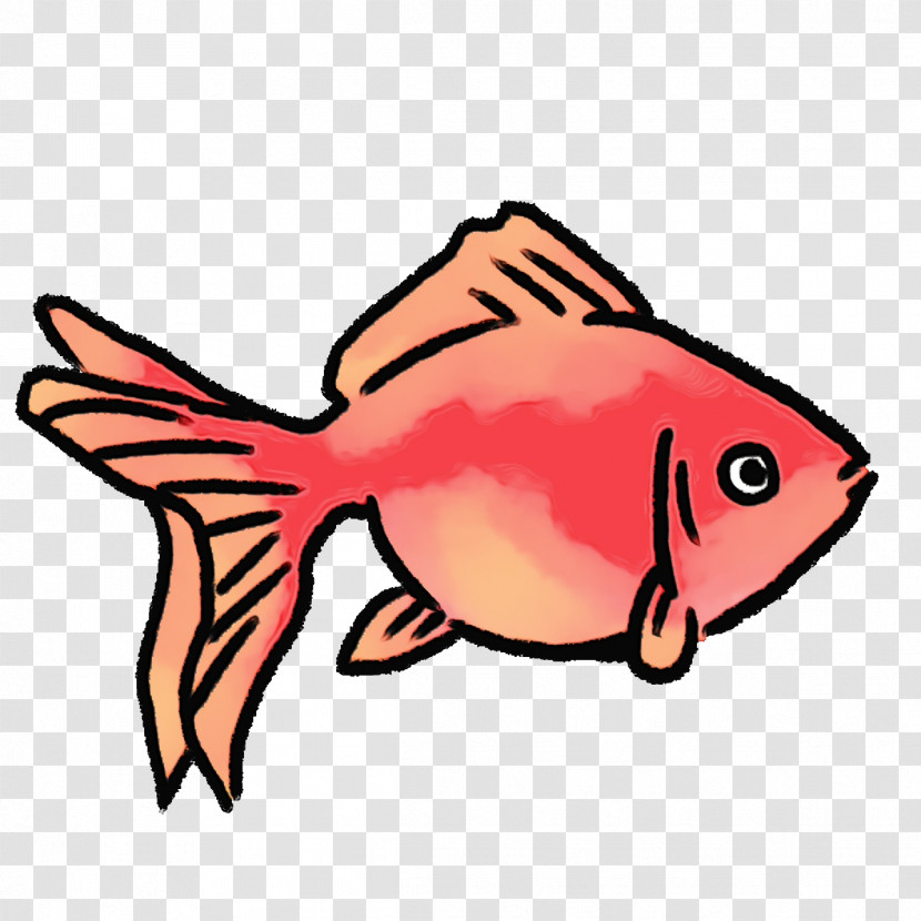 Cartoon Fish Science Biology Transparent PNG