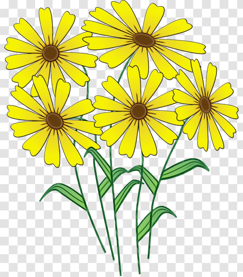 Flower Yellow Plant Petal Wildflower Transparent PNG