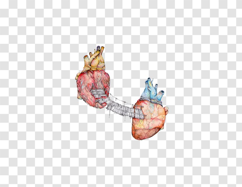 Sherlock Holmes Anatomy - Season 4 - 4Anatomical Heart Transparent PNG