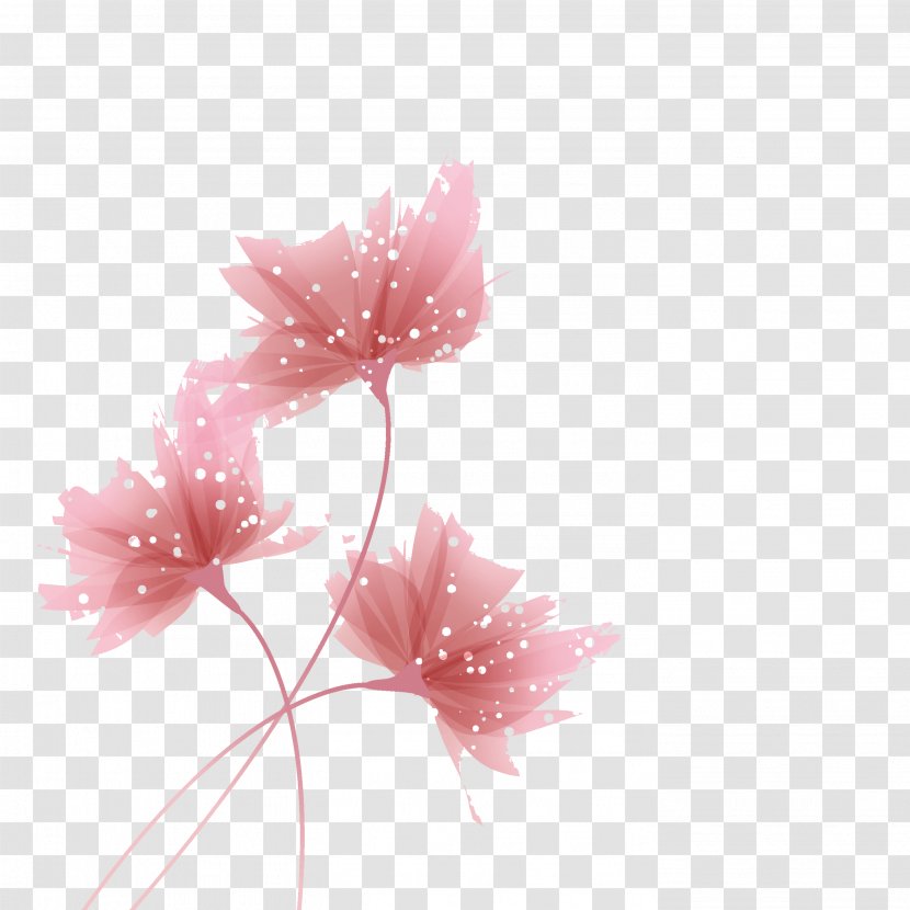 Cyclamen Black And White Mallows Spring Wallpaper - Carnation - Fantasy Flowers Transparent PNG