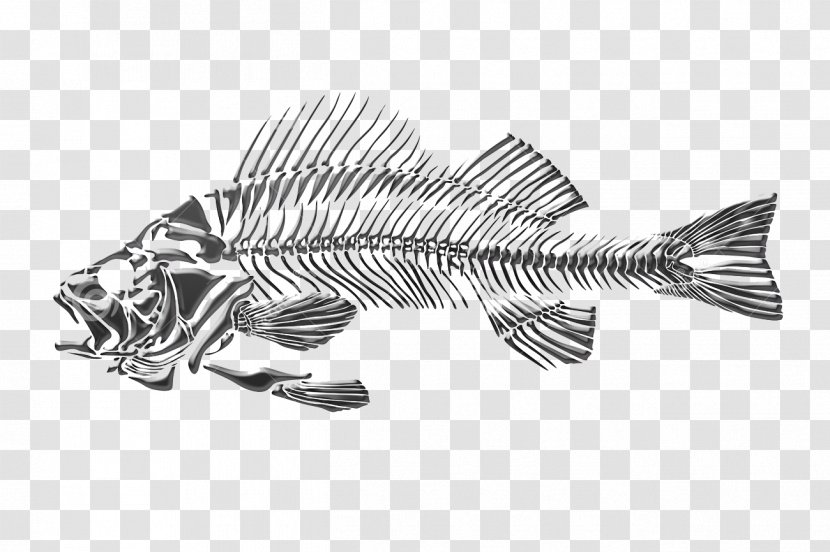 Drawing Fish Skeleton - Black And White - Dead Transparent PNG