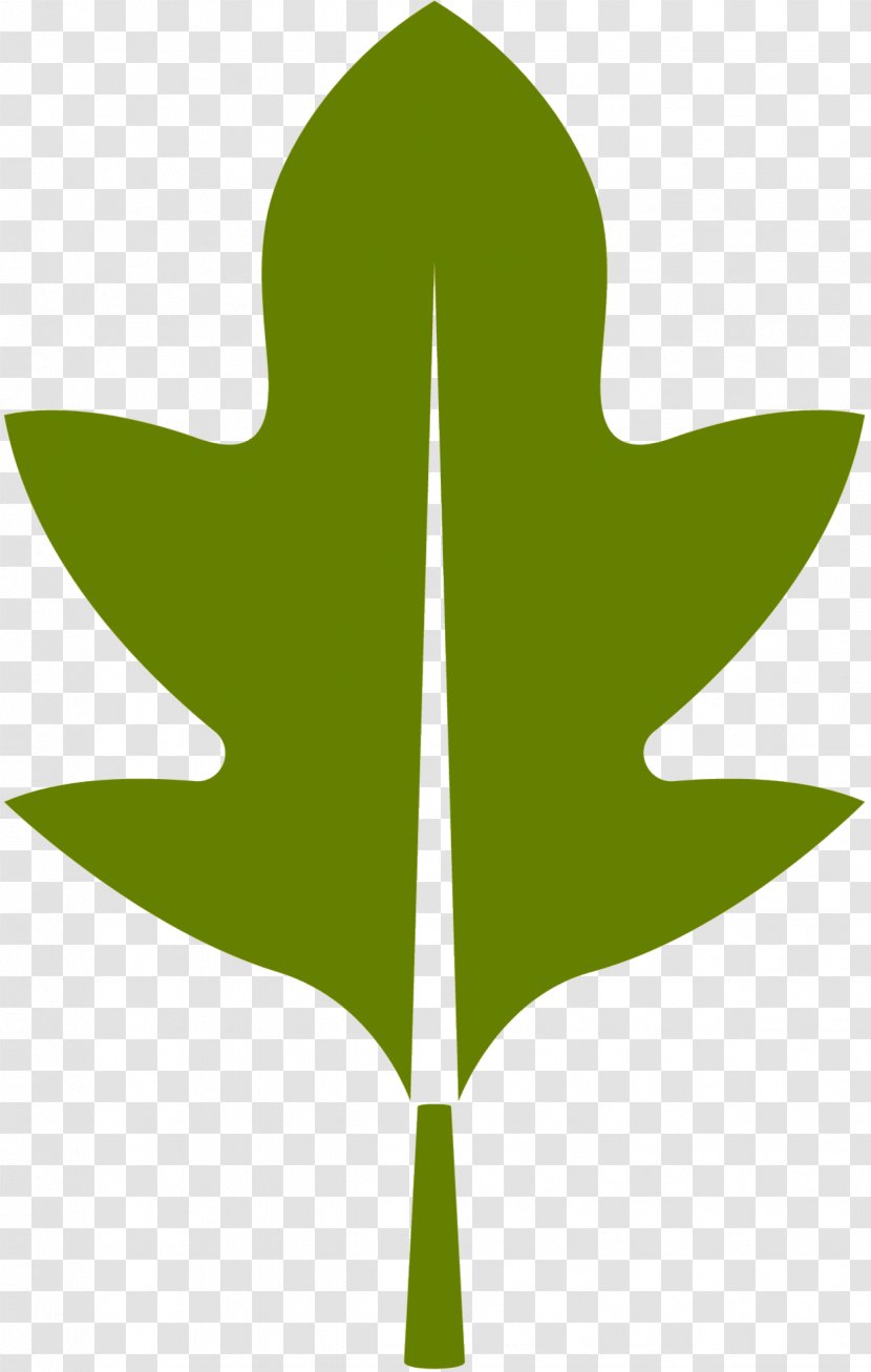 Clip Art Leaf Plant Stem Line Tree - Symbol Transparent PNG