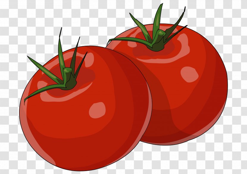 Plum Tomato Bush Food Gofio Transparent PNG