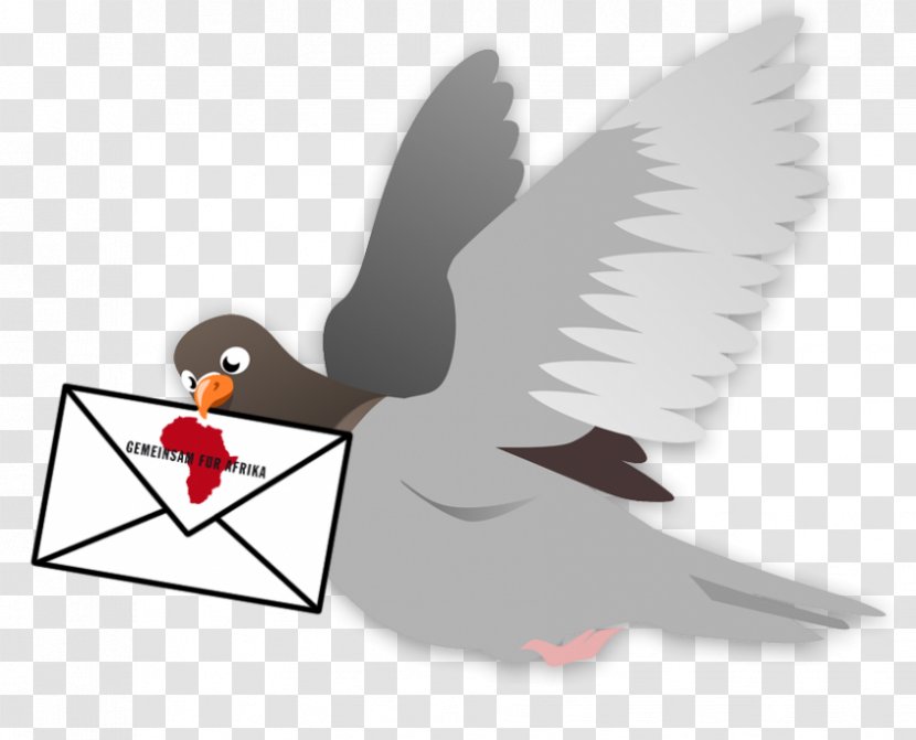 Homing Pigeon Flight Release Dove Clip Art - Columbiformes - Multiplikator Transparent PNG