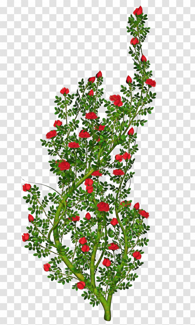 Tree Branch Silhouette - Flower - Wildflower Holly Transparent PNG