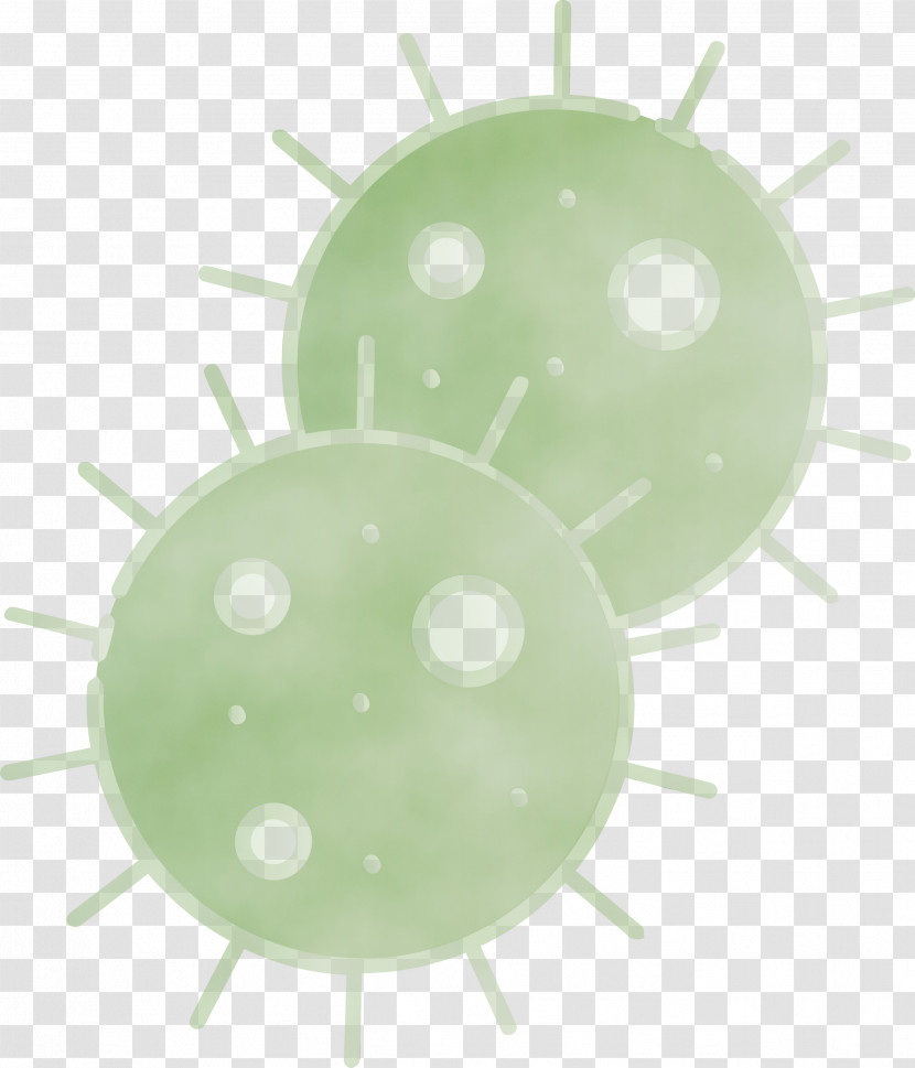 Green Transparent PNG