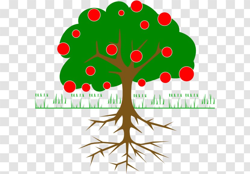 Tree Diagram Root Trunk - Child - Flowering Vector Transparent PNG