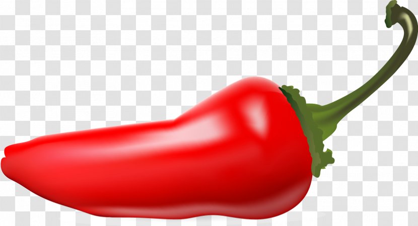 Piquillo Pepper Serrano Cayenne Birds Eye Chili Bell - Peppers - Vector Transparent PNG
