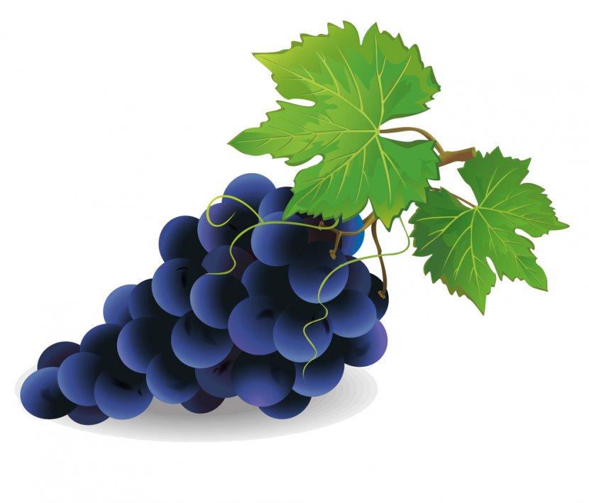 Common Grape Vine Pie Wine Clip Art - Seed Extract Transparent PNG