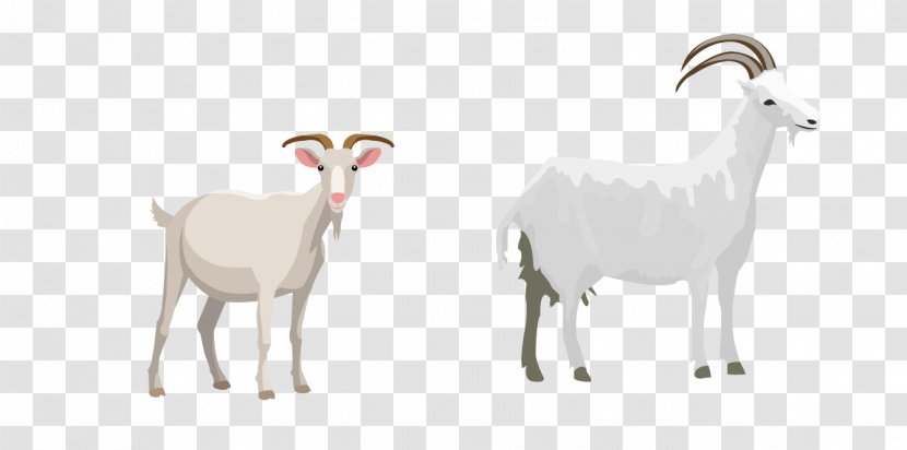 Sheep Goat Cattle Illustration Transparent PNG