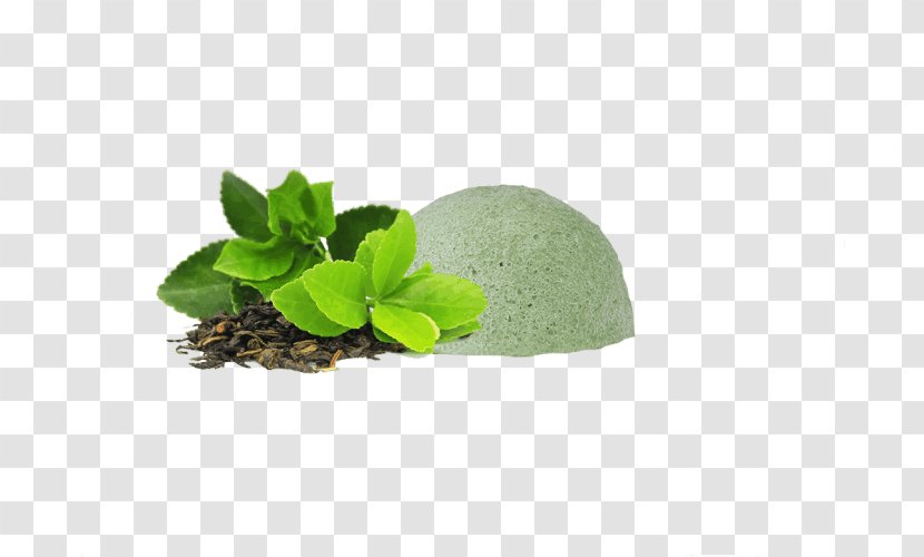 Green Tea Unilever Lipton Variety Pack Amino Acid Dietary Supplement - Herb - Mini Bag Tags Transparent PNG