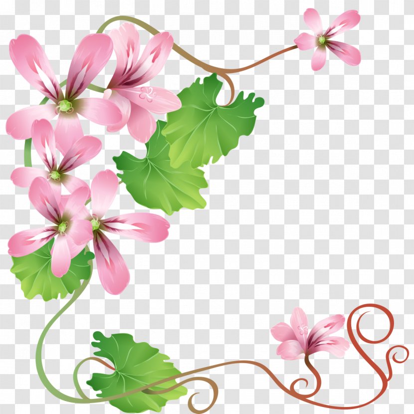 Flower Watercolor Painting - Mallow Family - Floral Decoration Transparent PNG