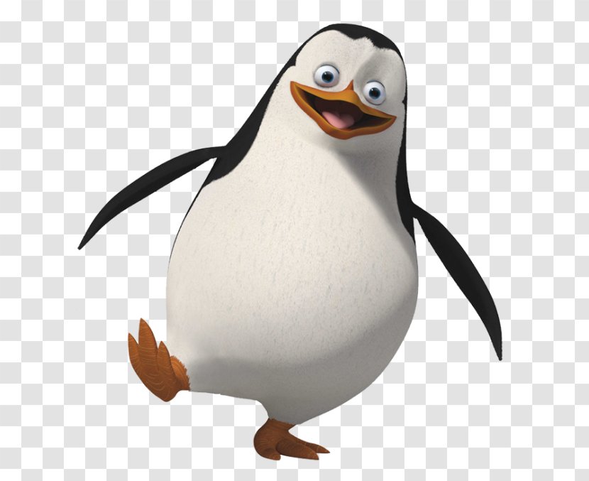 Rico Skipper Penguin Kowalski Madagascar - King Transparent PNG