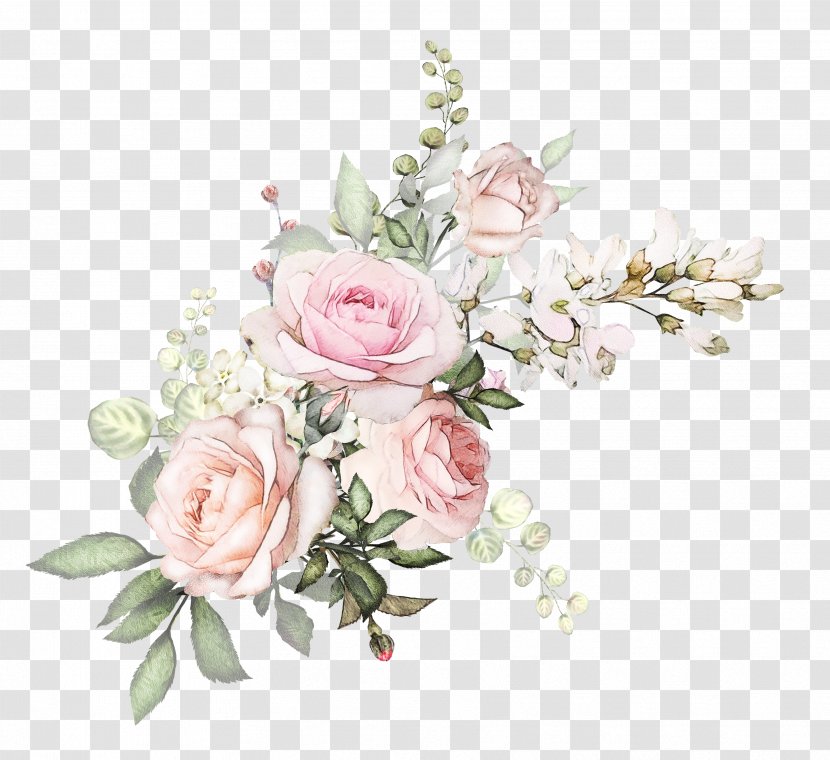 Garden Roses - Bouquet - Rose Family Transparent PNG