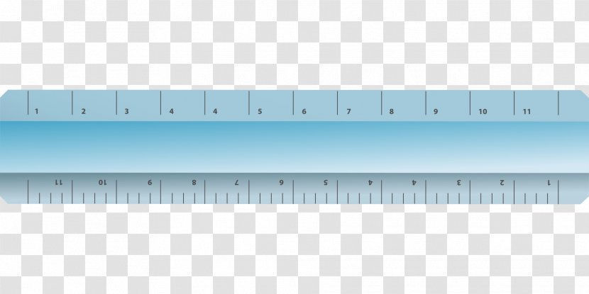 Scale Ruler Centimeter Length - Tree - Cartoon Transparent PNG
