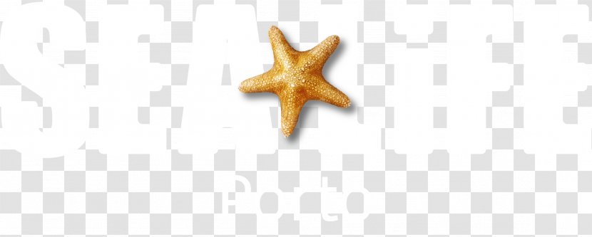 Starfish Body Jewellery - Marine Invertebrates Transparent PNG