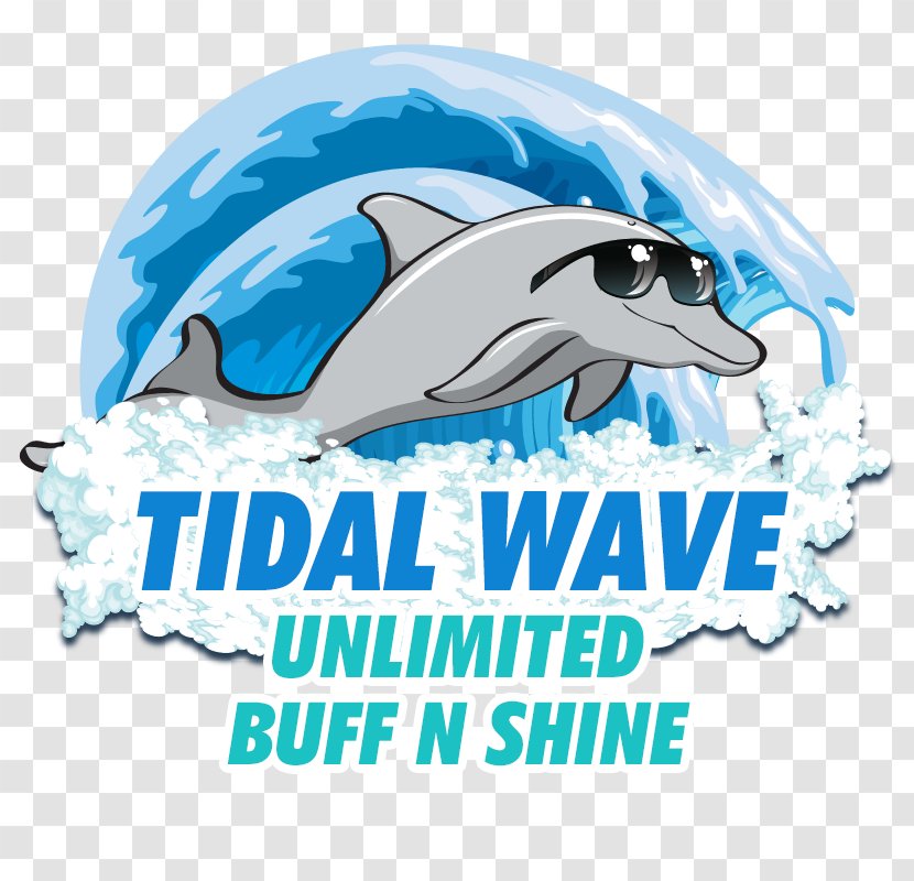 Car Wash Tidal Wave Auto Spa Of Thomaston Warner Robins - Dolphin Transparent PNG