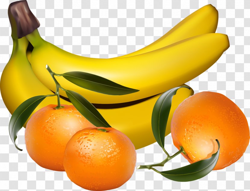 Tropical Fruit Clip Art - Vegetarian Food - Banana Transparent PNG