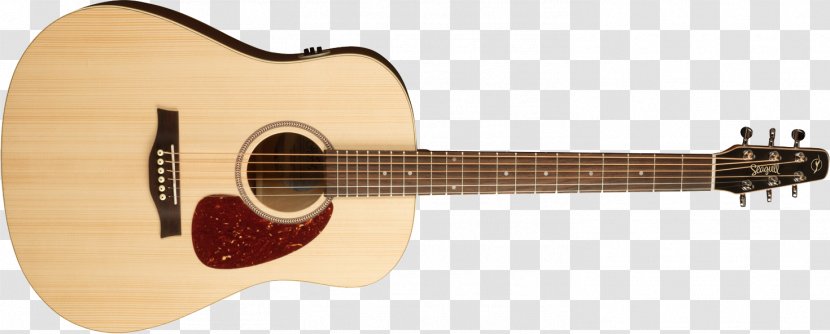 Acoustic Bass Guitar Steel-string Transparent PNG