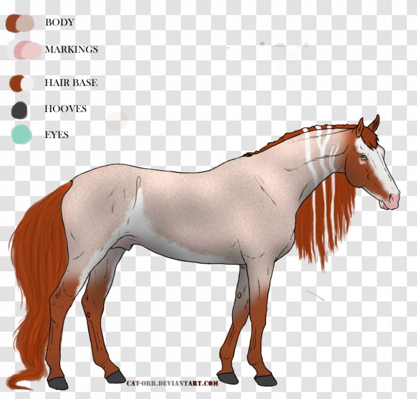 Mustang Mane Stallion Mare Pony - Rein Transparent PNG