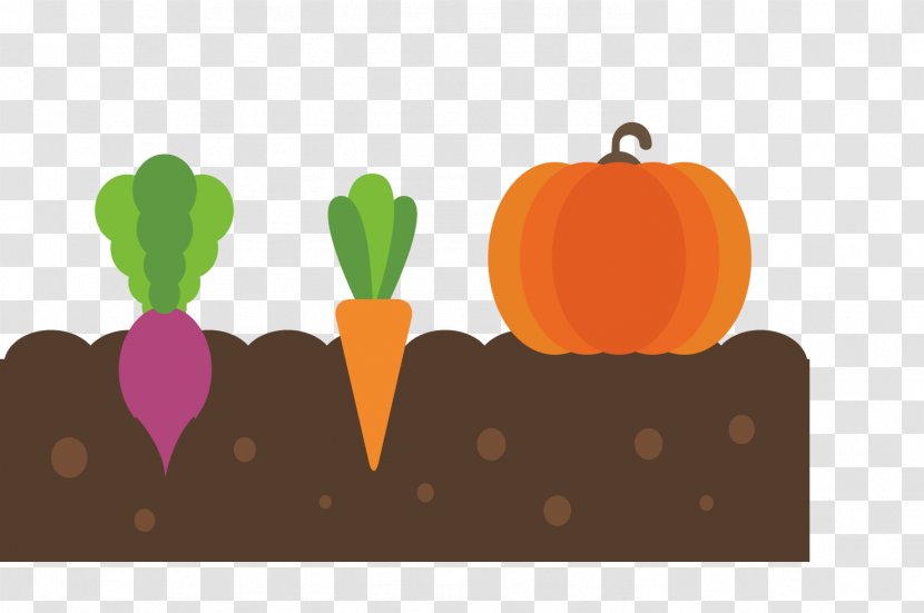 Vegetable Fruit - Orange - Planting Material Transparent PNG