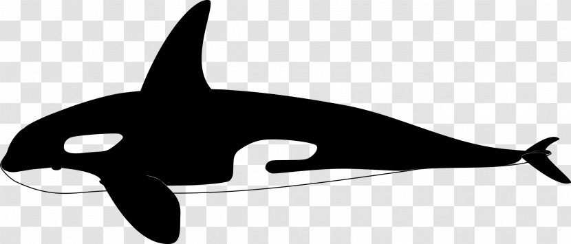 Porpoise Clip Art Whales Cetaceans Line - Fin - Marine Mammal Transparent PNG