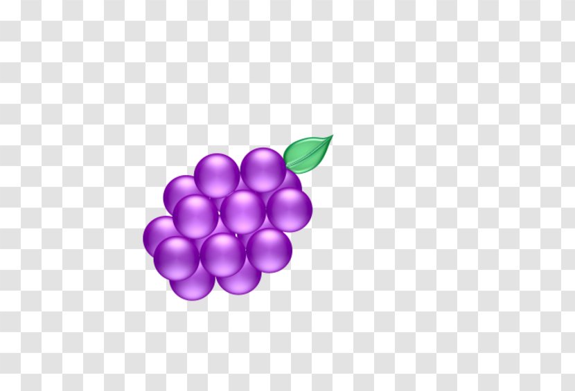 Violet Purple Lilac Grape Magenta - Lavender Transparent PNG