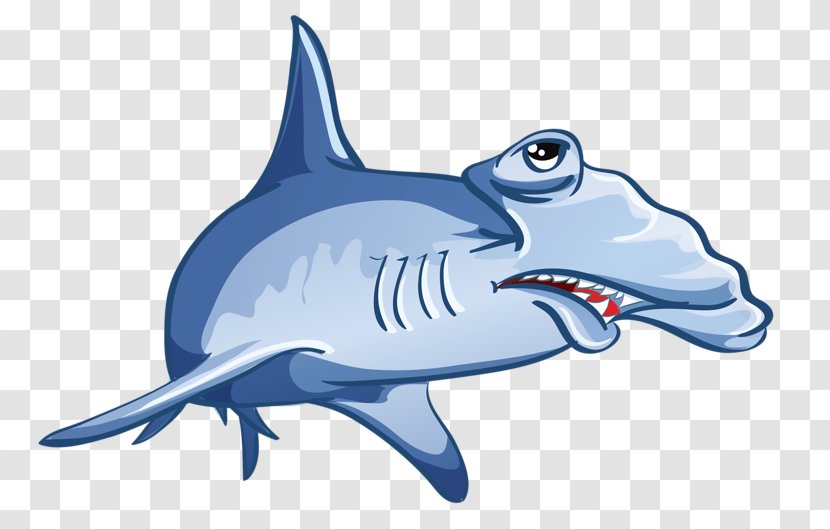 Shark Jaws Drawing - Cartilaginous Fish - Cartoon Transparent PNG