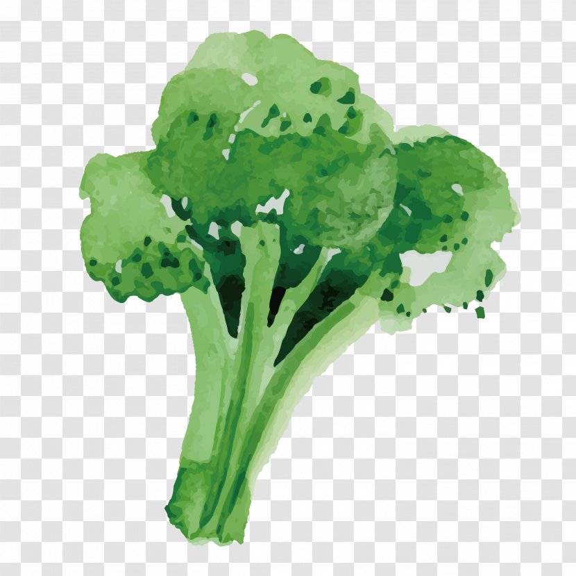Broccoli Vegetable Food - Healthy Transparent PNG