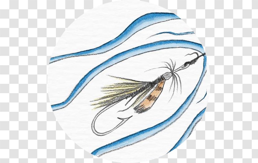 Marine Mammal Feather - Drawing - Design Transparent PNG