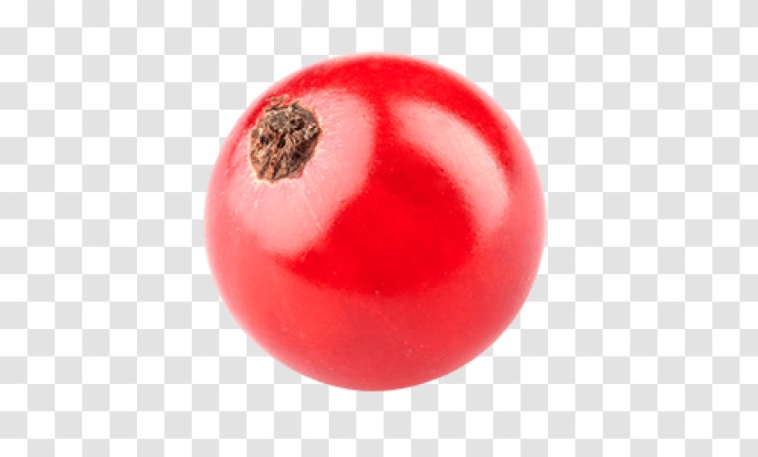 Tomato Redcurrant Fruit Berry - Currant Transparent PNG