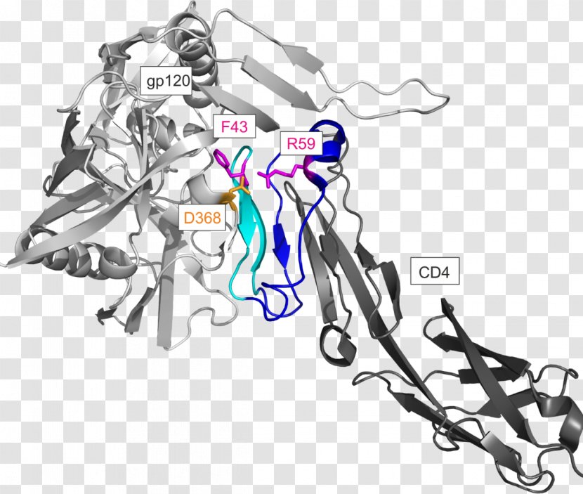 CD4 Envelope Glycoprotein GP120 HIV - Area Transparent PNG