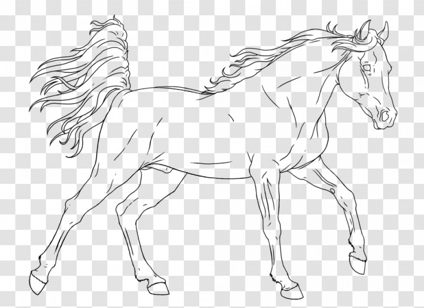 Horse Mane Coloring Book Colt Foal - Like Mammal Transparent PNG