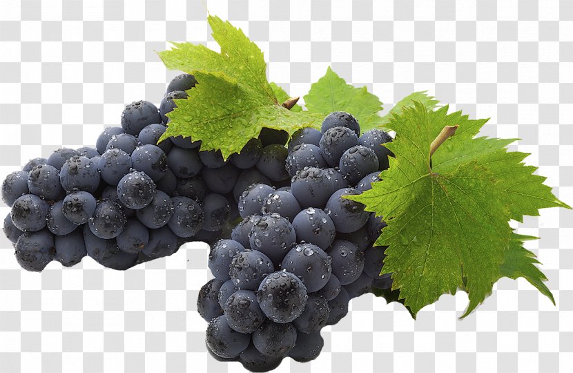 Common Grape Vine Juice Desktop Wallpaper Fruit - Superfood Transparent PNG