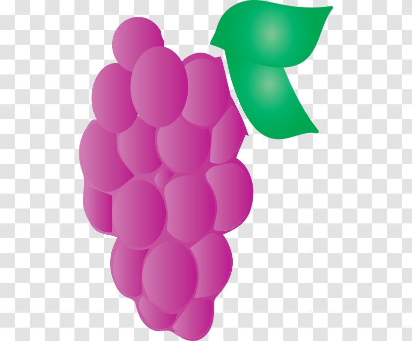 Grape Pink M - Vitis Transparent PNG