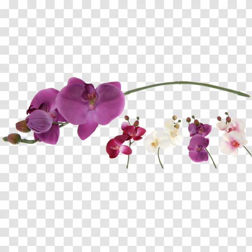 Moth Orchids Artificial Flower Furniture - Floral Design Transparent PNG