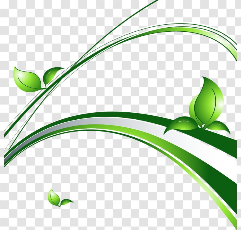 Clip Art Herbaceous Plant Leaf Vector Graphics Transparent PNG