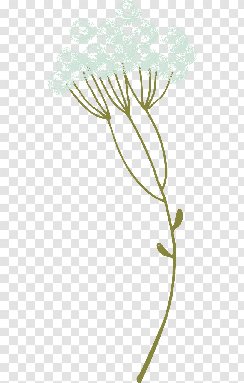 Floral Design Twig Leaf Plant Stem - Flora Transparent PNG