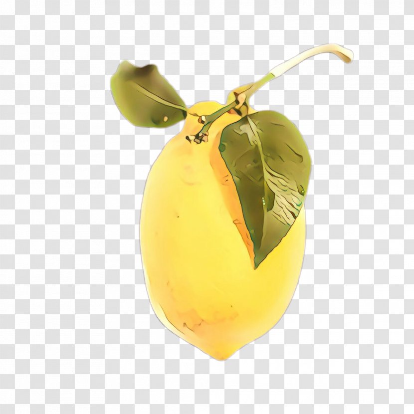 Yellow Fruit Plant Leaf Pear - Flower Food Transparent PNG