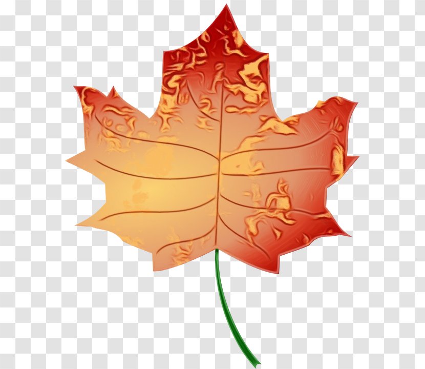 Autumn Leaf Drawing - Plane - Maple Transparent PNG