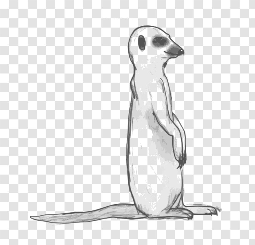 Meerkat Drawing Clip Art - Seals Transparent PNG